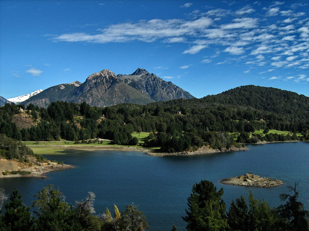 Image1