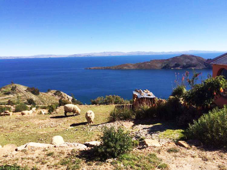 bolivie Isla del sol lac titicaca voyage sur mesure tierra latina