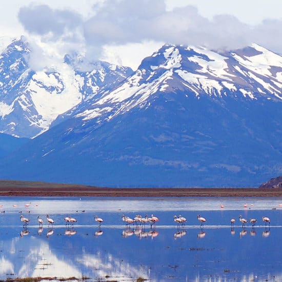 Patagonie Terre de Feu Cap Horn