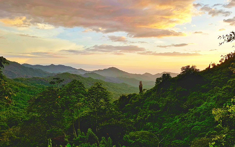 voyage-colombie-minca-santa-marta-niels-van-altena-unsplash