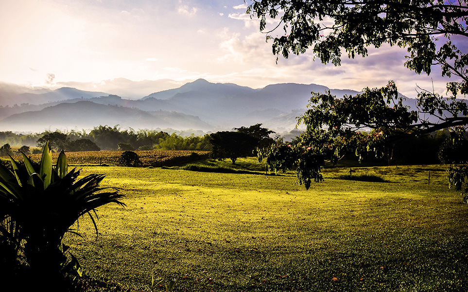 voyage-colombie-zona-cafetera-jeremy-stewardson-unsplash