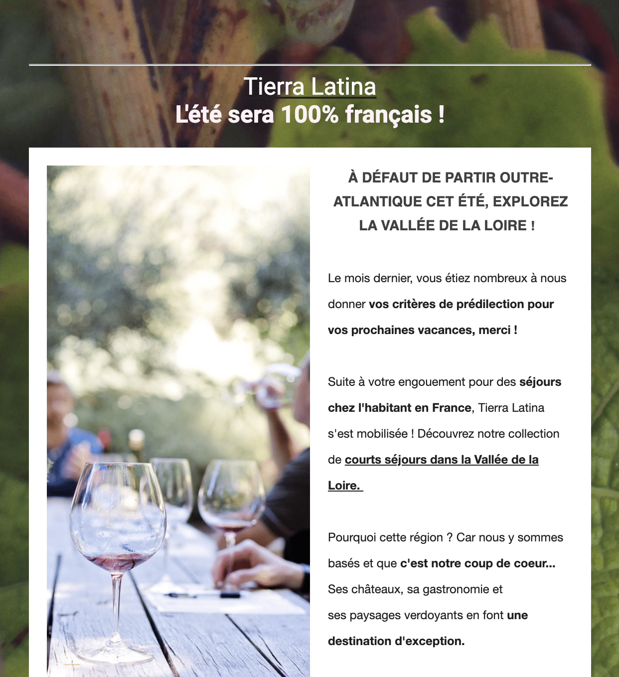 Newsletter-tierra-latina-juillet-2020