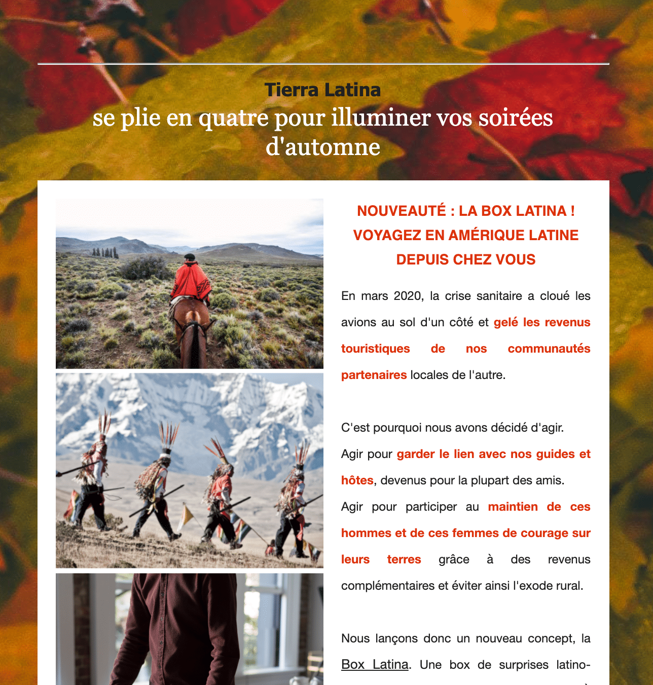 Newsletter-octobre-2020