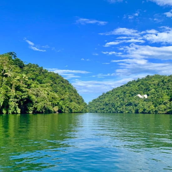 circuit-guatemala-rio-dulce-weyden-gonzalez-unsplash