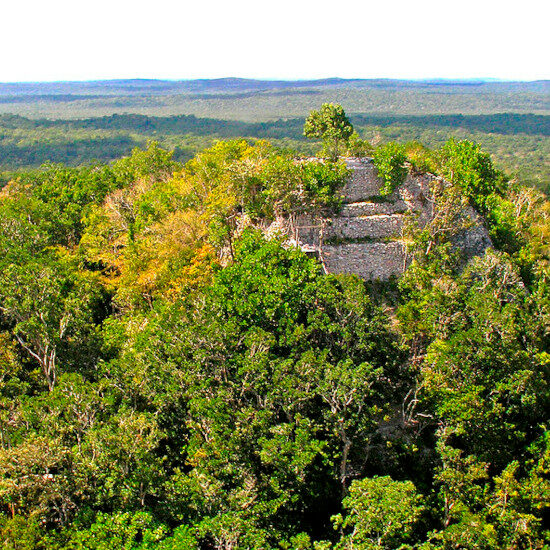 Circuit guatemala trek-la Danta at the Mayan site of El Mirador-archer 10 dennis-openverse/