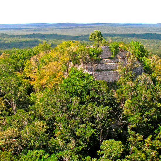 Circuit guatemala trek-la Danta at the Mayan site of El Mirador-archer 10 dennis-openverse/