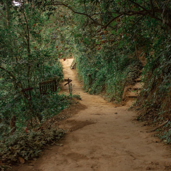 circuit-guatemala-trek-mirador-randonnee-sara_i-eu-unsplash