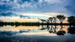 Bresil Amazonie Tierra Latina