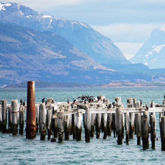 voyage-en-petit-groupe-argentine-et-chili-puerto-natales-journee-libre-dominik-van-opdenbosch-unsplash/