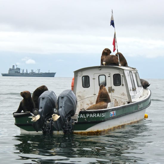 voyage-en-petit-groupe-argentine-et-chili-valparaiso-cap-sur-le-pacifique-isabel-retamales-unsplash/