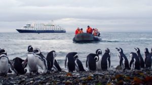 Ile Magadalena manchots de Magellan croisiere terra latina