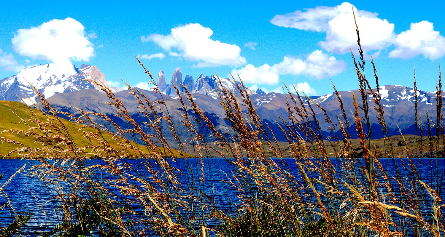 restaurants-puerto-natales-luiza-braun-unsplash