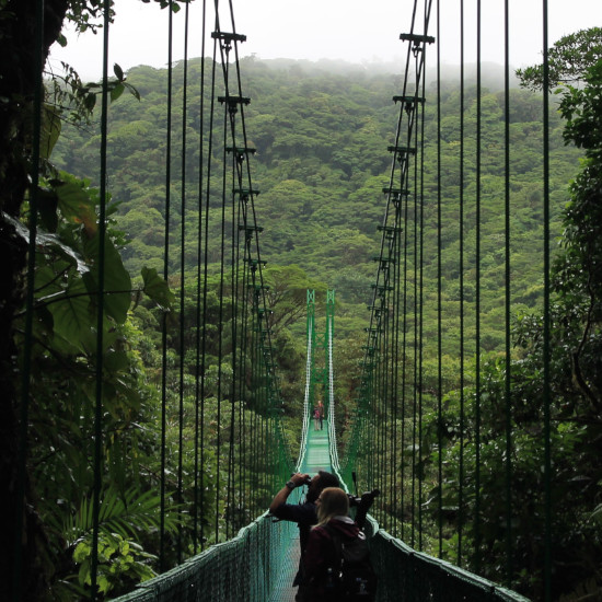 tierra-latina-angela-erick-monteverde-costa-rica