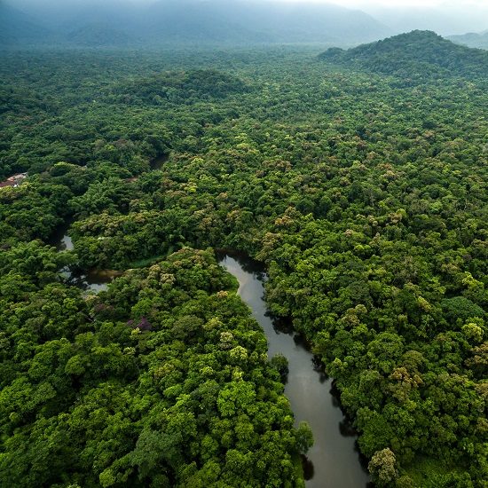 voyage-equateur-jungle-amazonie-vue-du-ciel-discover-corps