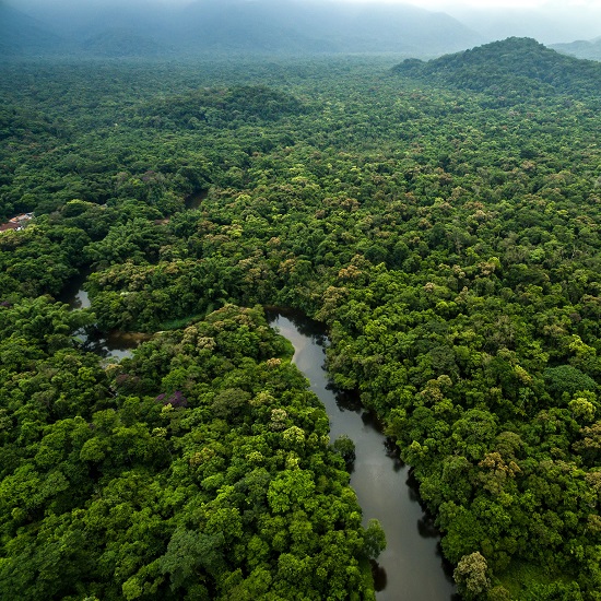 voyage-equateur-jungle-amazonie-vue-du-ciel-discover-corps