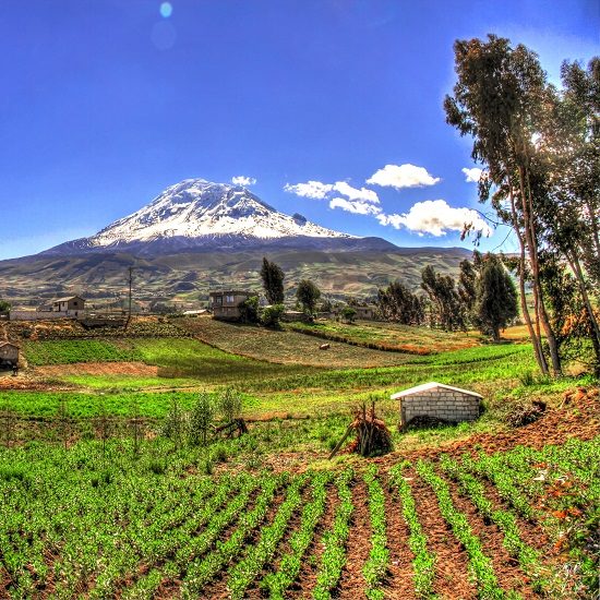 voyage-equateur-volcan-chimborazo-eduardo-navas-flickr-550