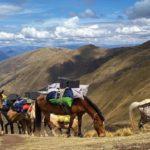 voyage-perou-trek-mules-andes-kasman-1500
