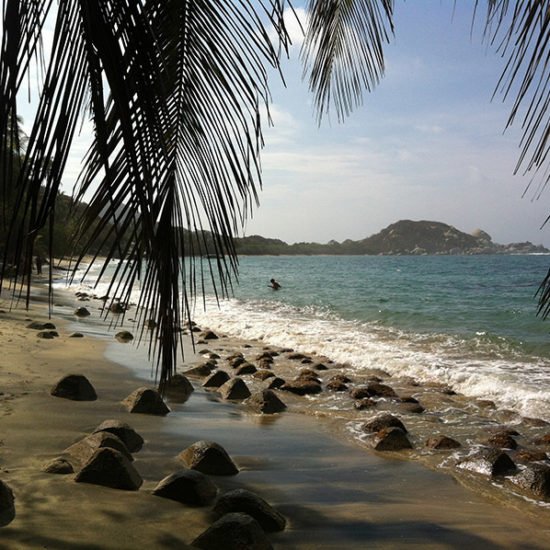 colombie tayrona plage palmiers paradis