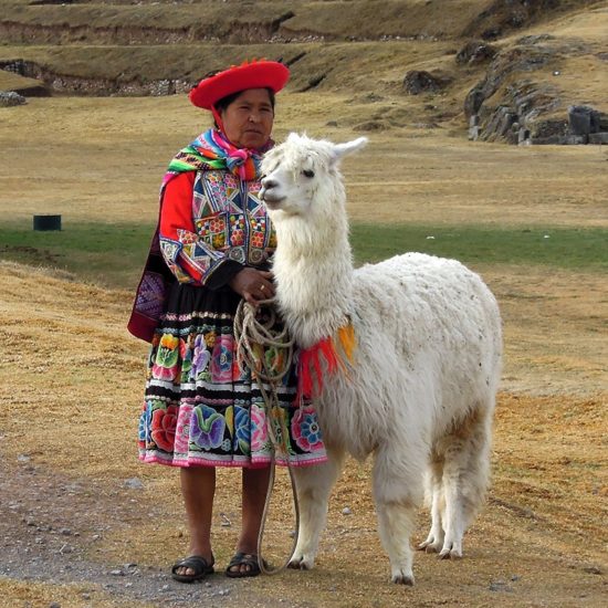 pérou lama habitants