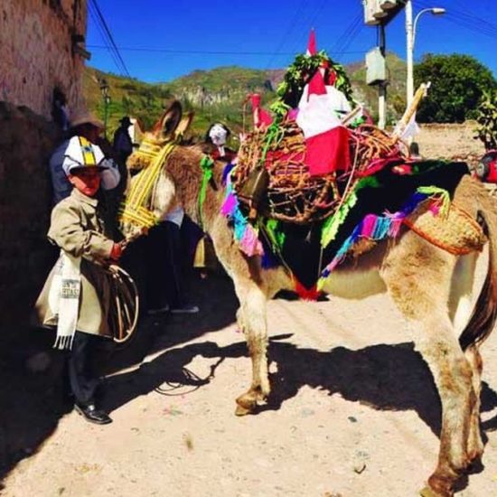 perou bolivie immersion habitant âne excursion vêtement traditionnel balade