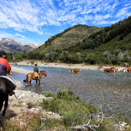 argentine patagonie bariloche rivière gaucho cheval traversée nature montagne paysage immersion