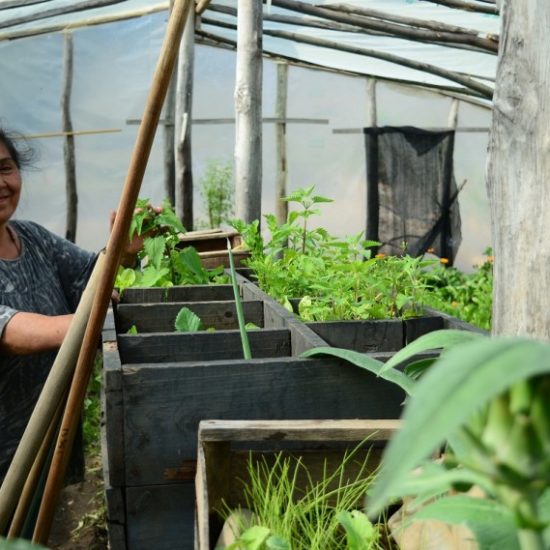 argentine patagonie bariloche chez l'habitant communauté culture serre ferme potager