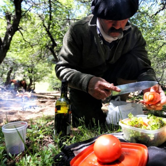 argentine patagonie bariloche gaucho immersion fermier asado repas chez l'habitant grillade barbecue vin salade pique nique nature