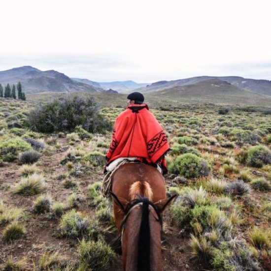 argentine patagonie bariloche gaucho immersion fermier balade cheval nature montagne paysage