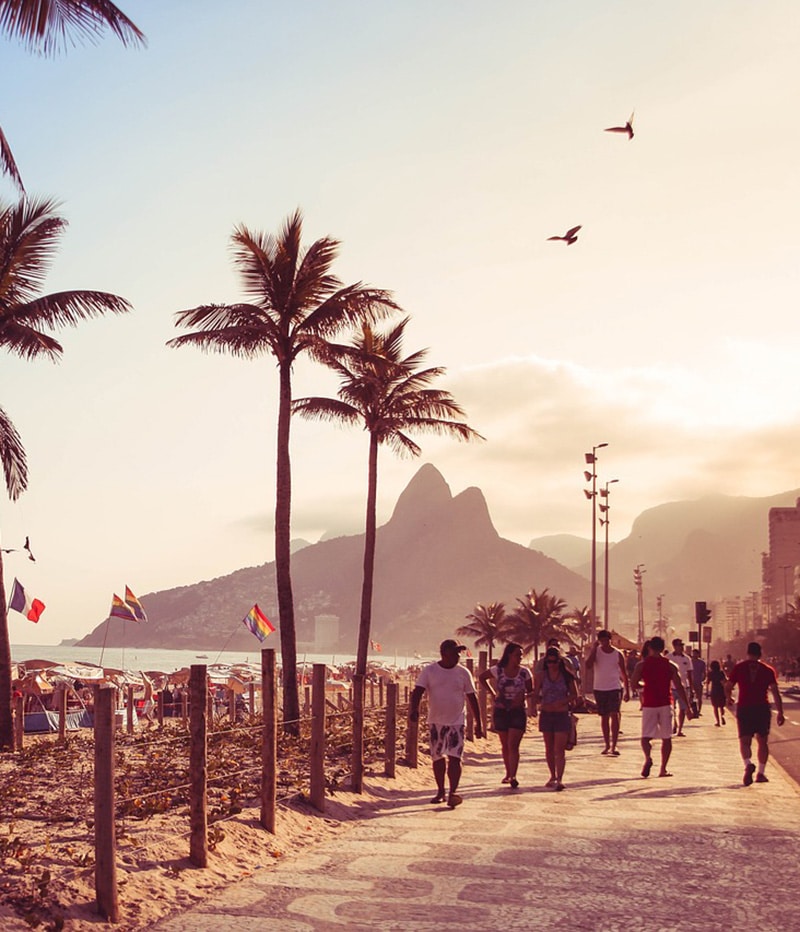 Copacabana Bresil Rio de Janeiro plage palmiers
