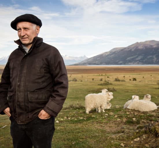 argentine patagonie estancia champs moutons gauchos paysage nature immersion paysan immersion à perte de vue montagne el calafate