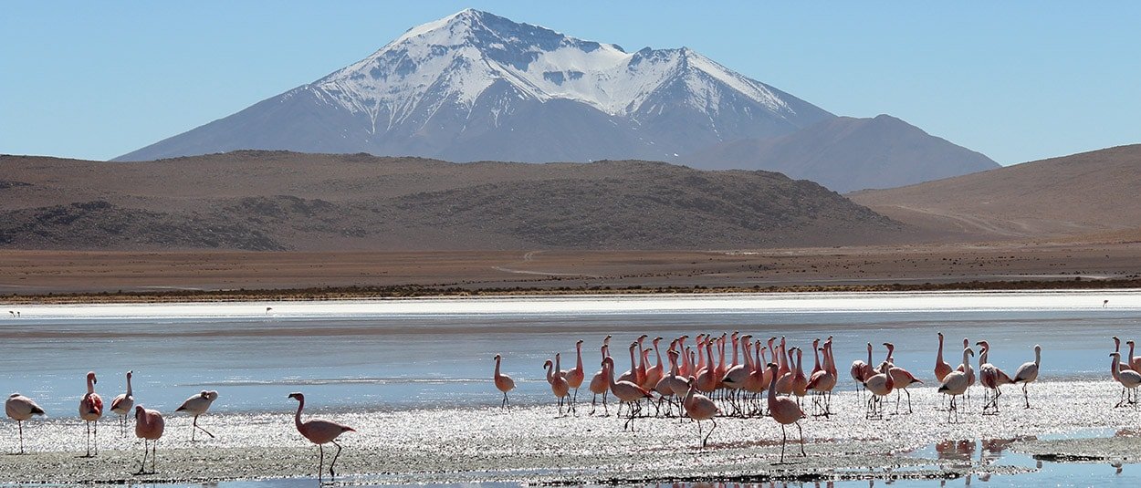 Bolivie desert sud Lípez