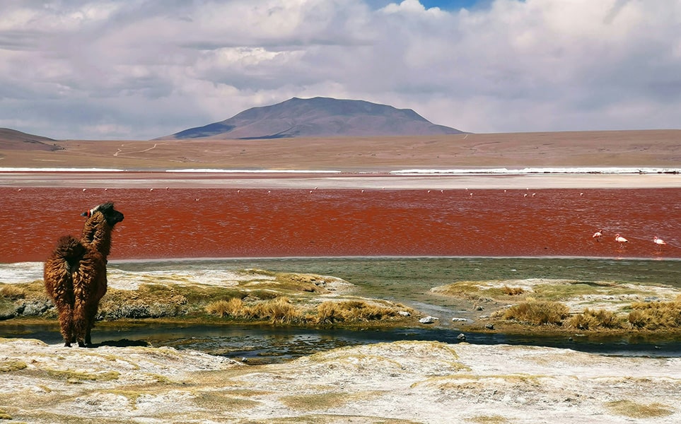 voyage-bolivie-sud-lipez-uyuni-mariana-proenca-unsplash