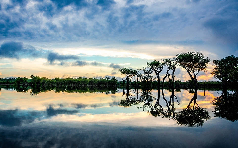 voyage-visiter-brésil-amazonie-sebastien-goldberg-unsplash.jpg