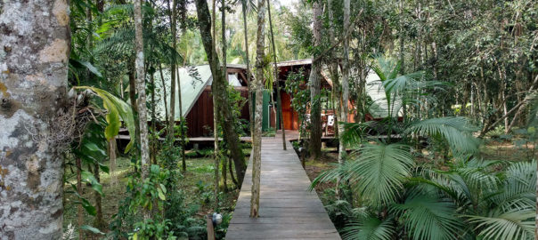 écolodge jungle iguazu argentine