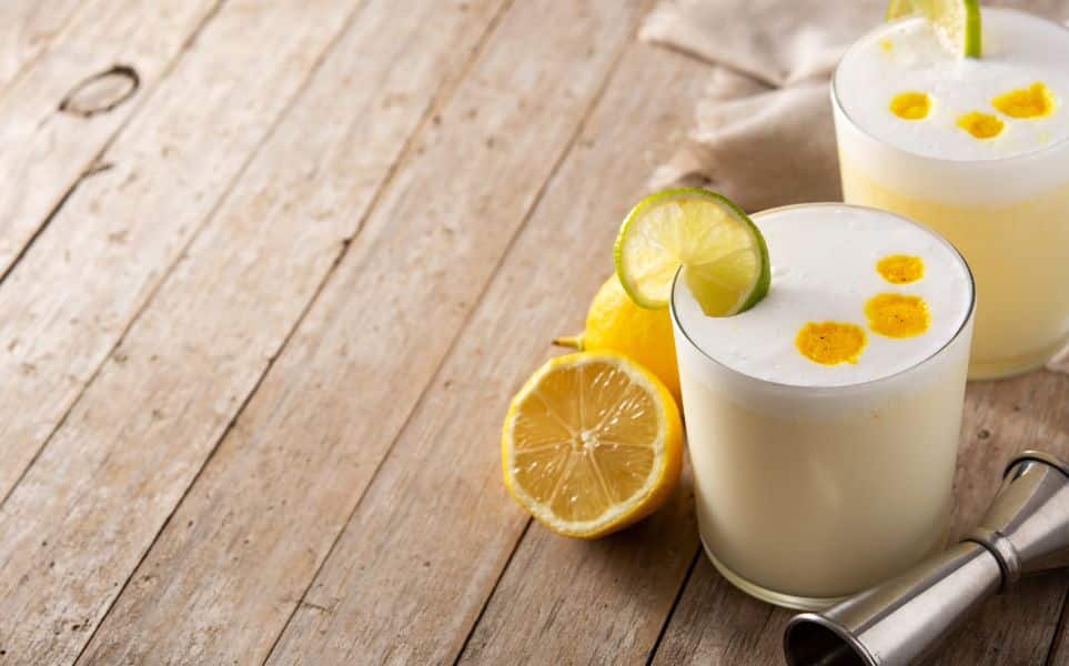 voyage-chili-perou-recette-pisco-sour-estefania-vizcaino