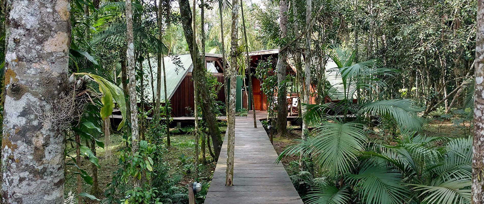 ecolodge iguazu argentine bresil jungle