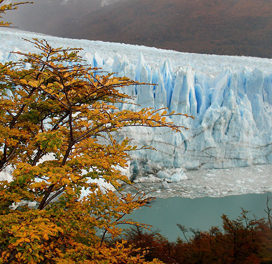 argentine trek trekking el calafate immersion dépaysement nature randonnée glaciers perito moreno automne patagonie