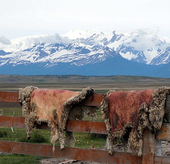 argentine el calafate immersion dépaysement nature randonnée glaciers perito moreno patagonie estancia balade cheval montagne