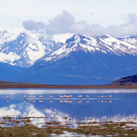 argentine patagonie glaciers trek trekking randonnée nature immersion montagne lac flamands roses faune