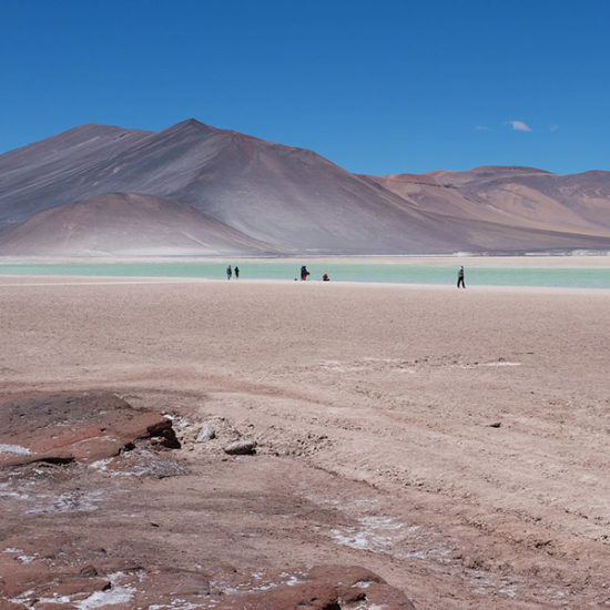 Chili altiplano désert atacama