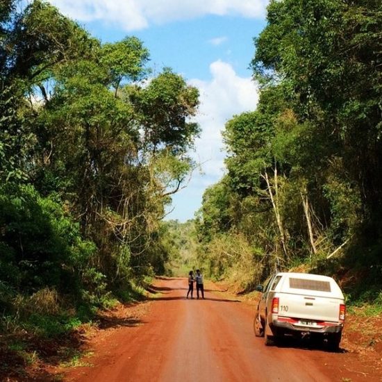 Iguazu immersion jungle ecolodge parc national pickup sentier forêt argentine excursion