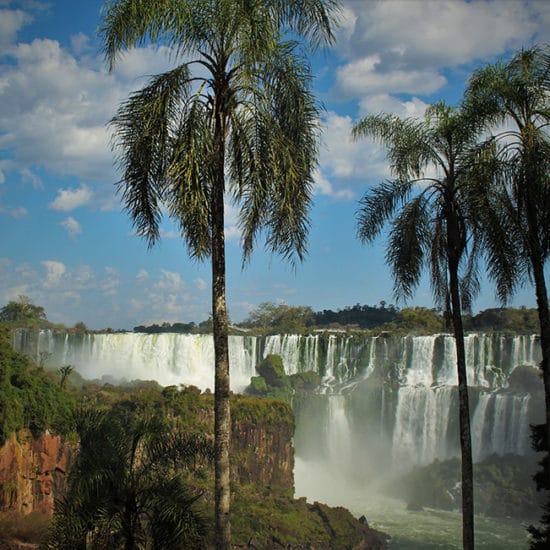 Chutes d'Iguazu jungle immersion panorama argentine palmiers parc national cascade merveille naturelle