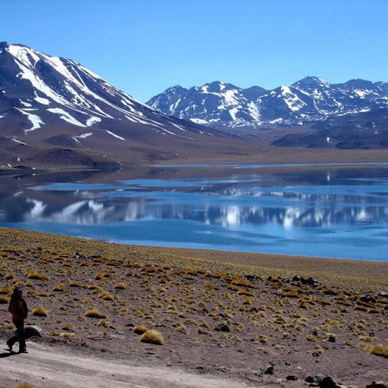 Chili altiplano laguna lac miscanti Miñiques cerro montagne atacama