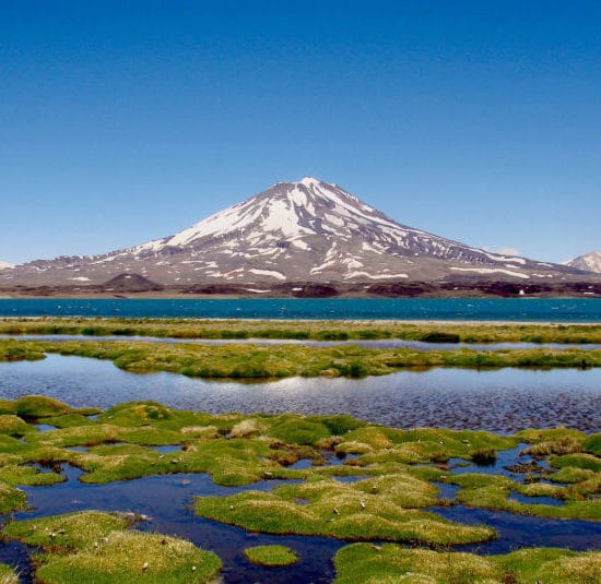 argentine montagne mendoza cordillère des andes lac