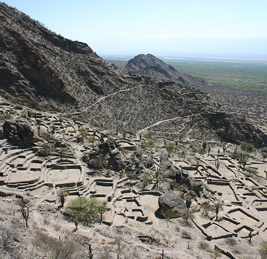 argentine nord ouest argentin tucuman terrasses verdure montagne immersion panorama nature désert