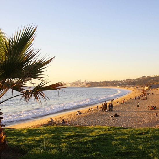 Chili vina del mar bord de mer côte plage palmiers