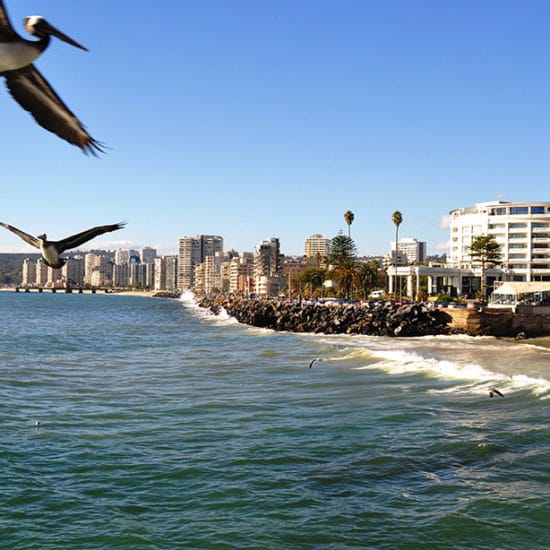 Chili vina del mar bord de mer côte plage