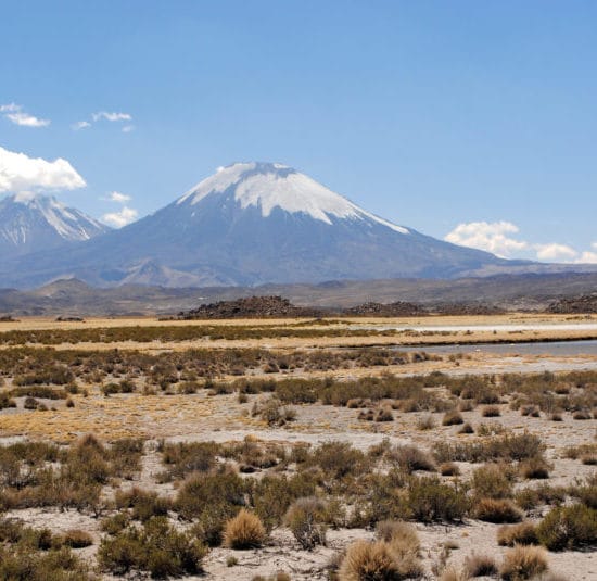 Chili parc lauca altiplano montagne nature