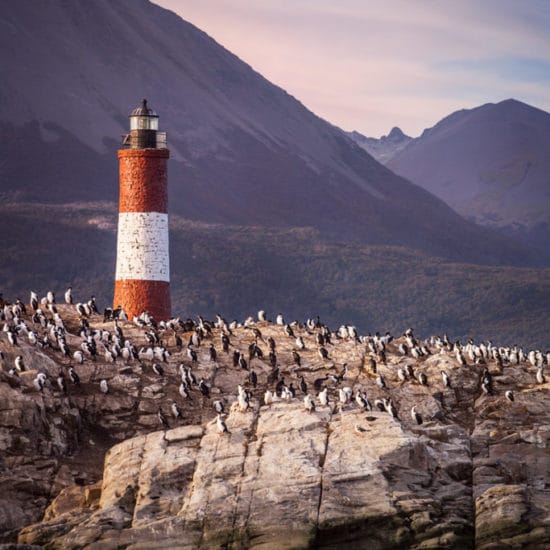 argentine patagonie parc national de la terre de feu ushuaia bout du monde immersion canal beagle nature sauvage manchots magellan faune milieu hostile phare montagne