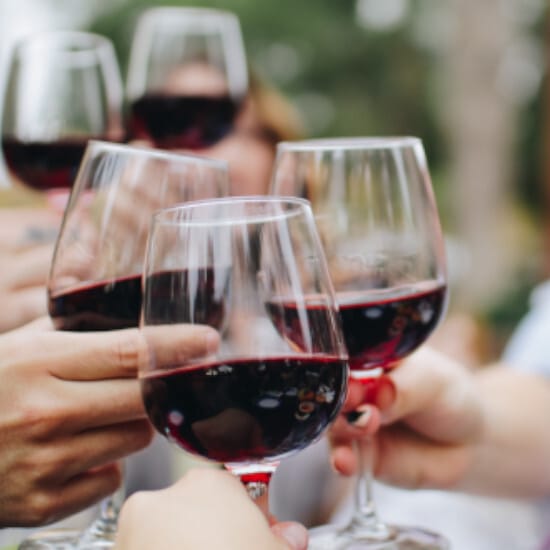 tierra-latina-degustation-vins-buenos-aires-kelsey-knight